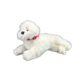 Bichon Frise - 38cm lying